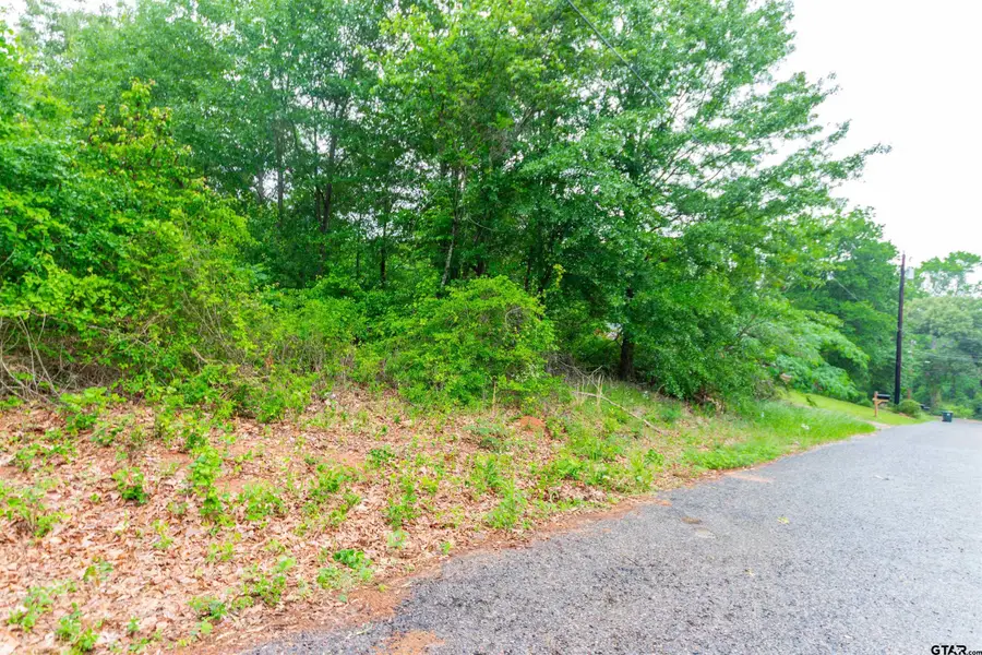 327 Fairway Ave, Tyler, TX 75702 - #3