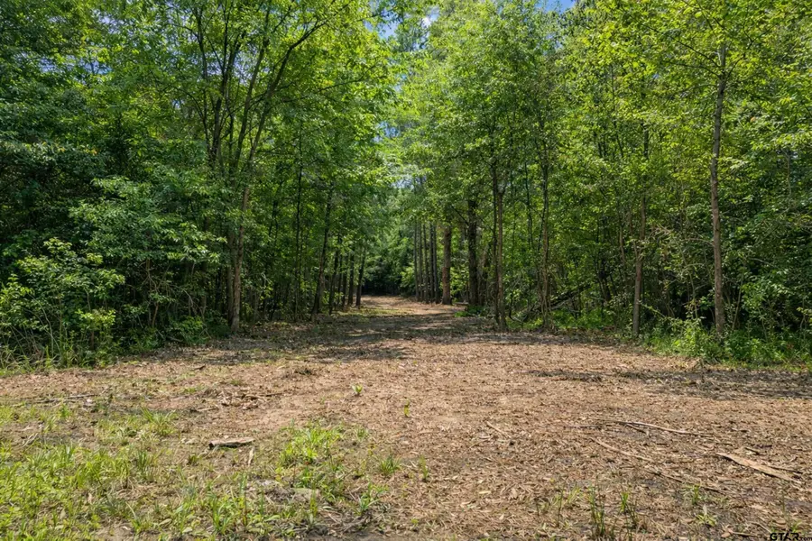 4552 Van Hwy, Tyler, TX 75704 - #3