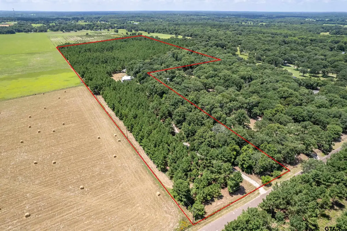 25325 County Road 462, Mineola, TX 75773 - #1