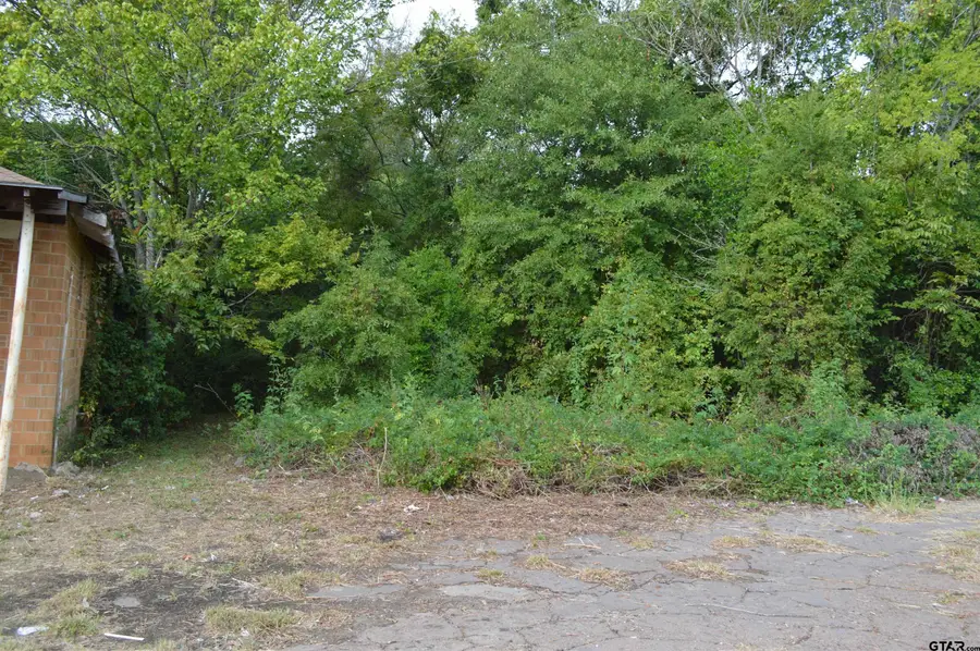 507 N Van Buren, Henderson, TX 75652 - #2