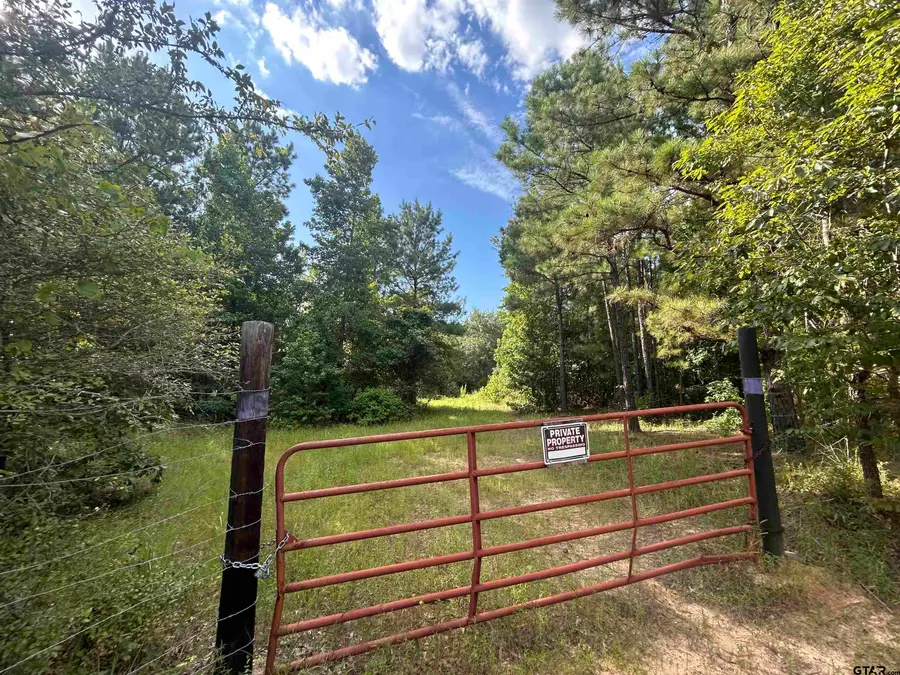 TBD Franklin Rd., Hallsville, TX 75650 - #2