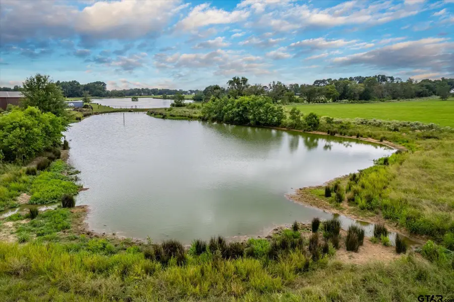 20778 Bain Hill Rd, Bullard, TX 75757 - #2