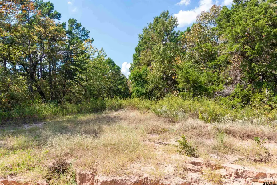 TBD CR 3947, Hawkins, TX 75765 - #3