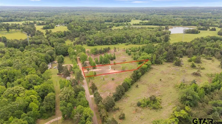 Lot 3 & 4 CR 1552, Long Branch, TX 75669 - #2