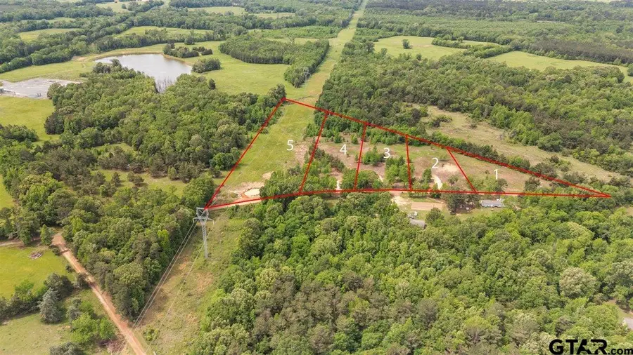 Lot 5 CR 1552, Long Branch, TX 75669 - #2