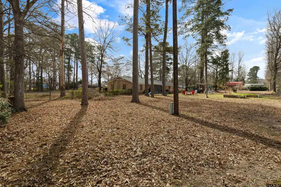 119 N Mimosa, Ore City, TX 75683 - #3