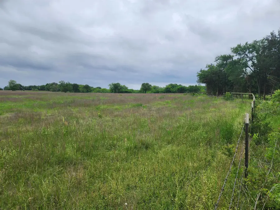 TBD CR 15560, Paris, TX 75462 - #3