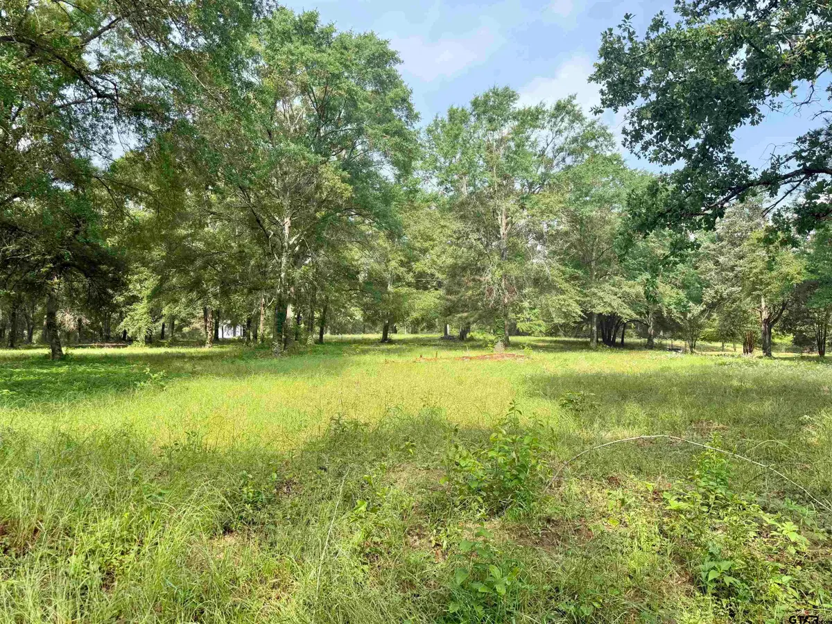TBD Bailey Lane, Jacksonville, TX 75766 - #1