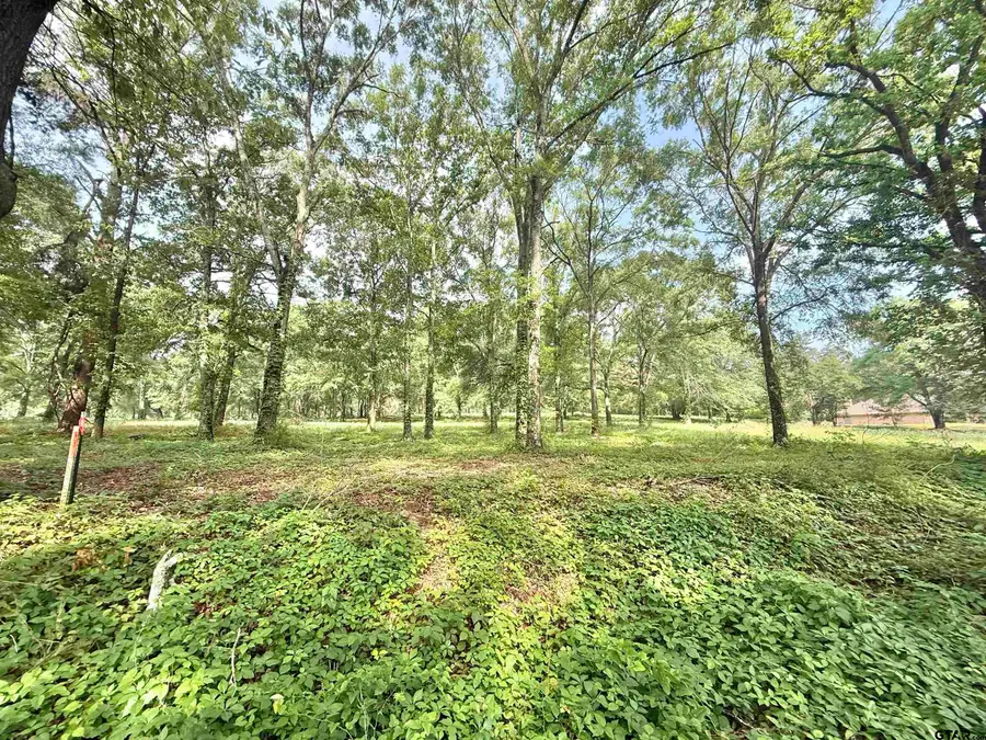 TBD Bailey Lane, Jacksonville, TX 75766 - #3