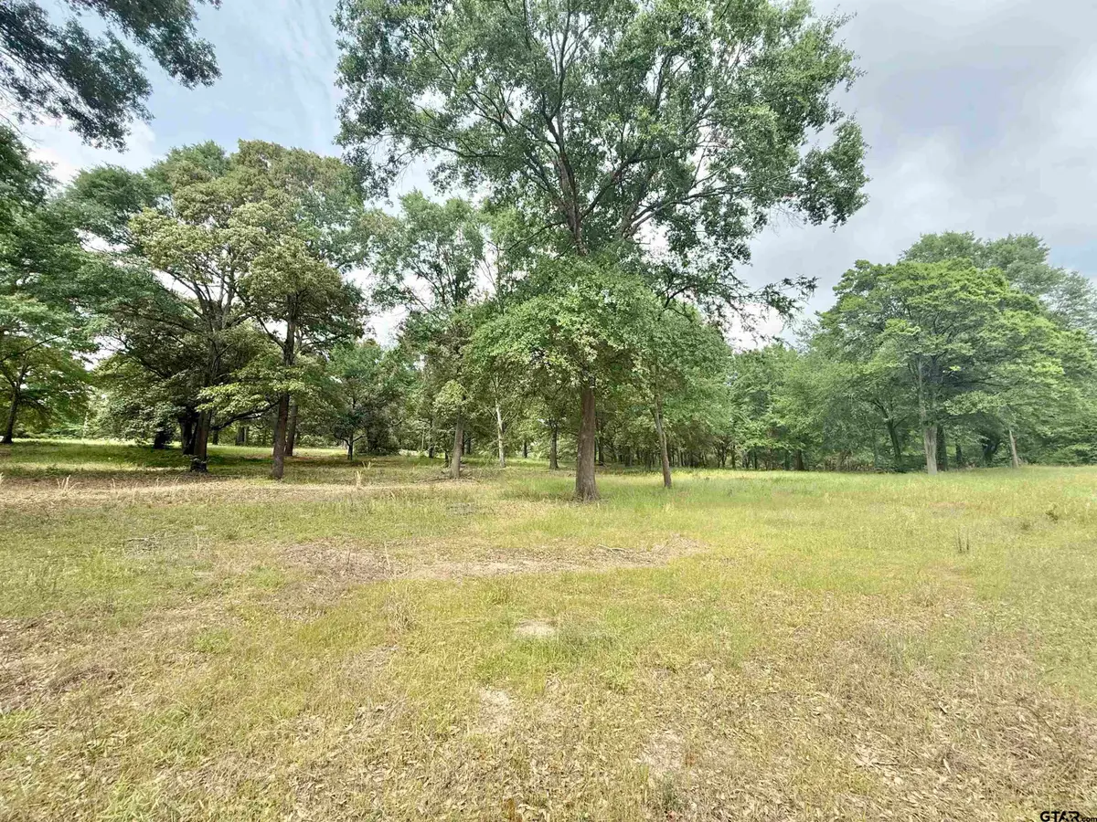 TBD Stanford Dr, Jacksonville, TX 75766 - #1