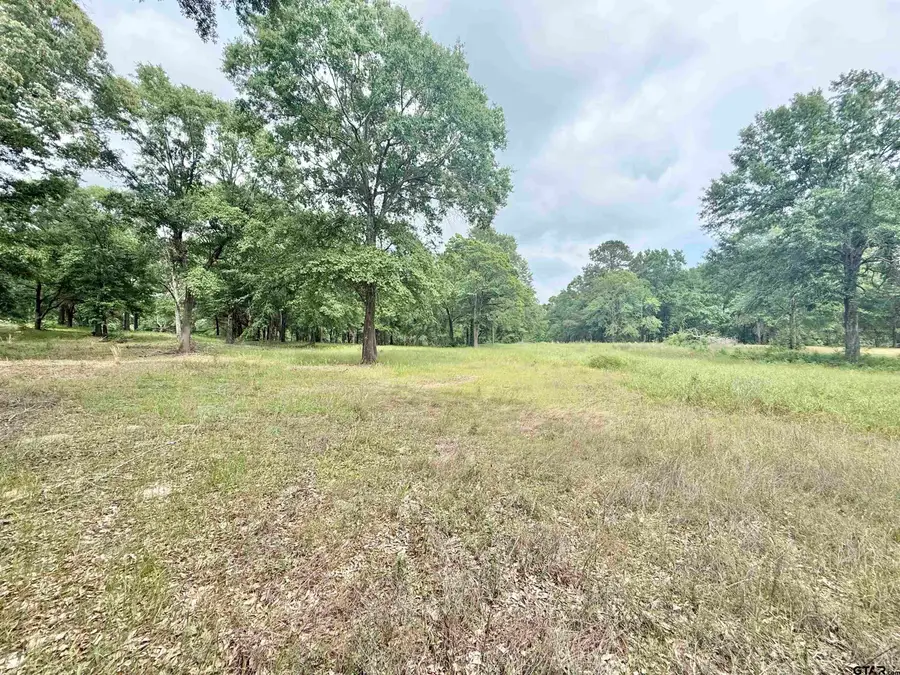 TBD Stanford Dr, Jacksonville, TX 75766 - #2