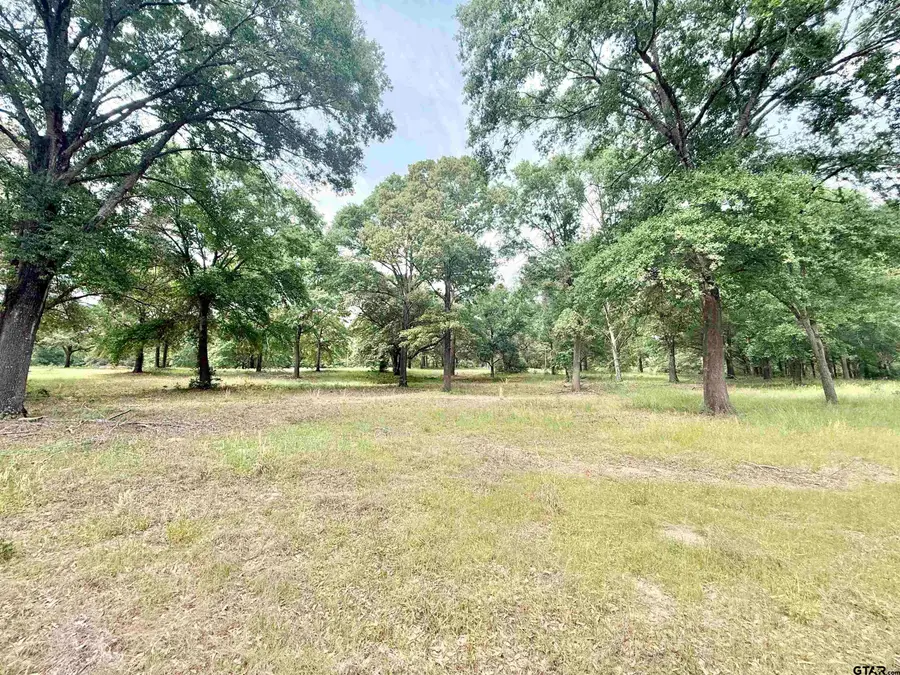 TBD Stanford Dr, Jacksonville, TX 75766 - #3