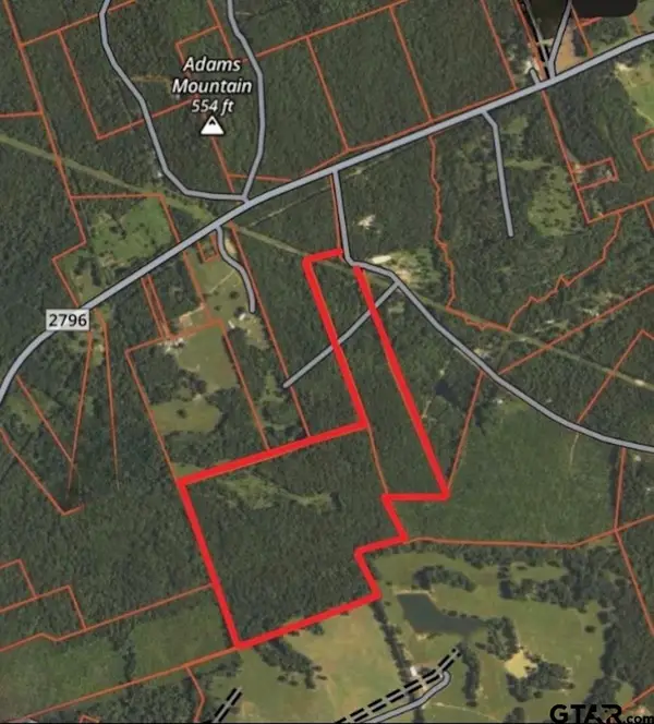 TBD Cactus Rd, Pittsburg, TX 75686