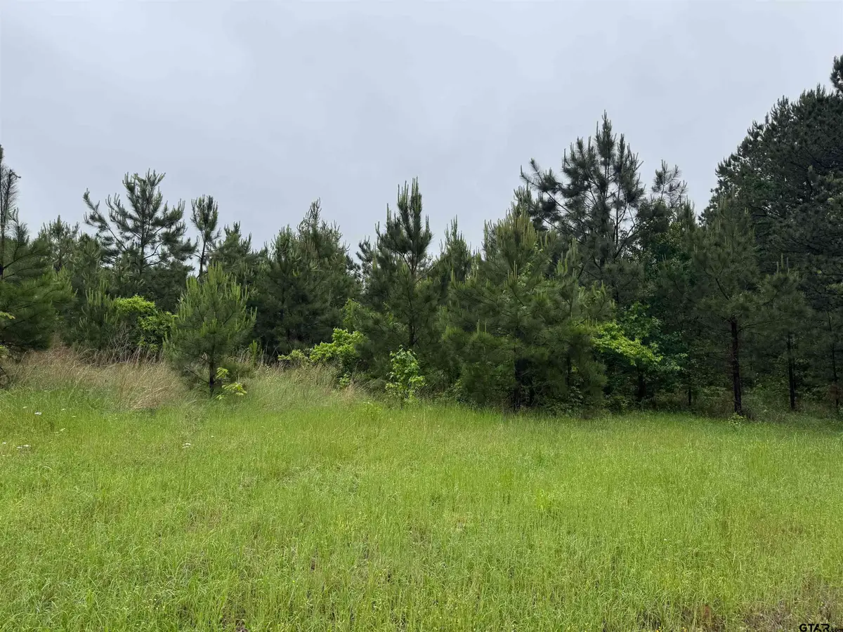 3369 CR 2472, Naples, TX 75568 - #1