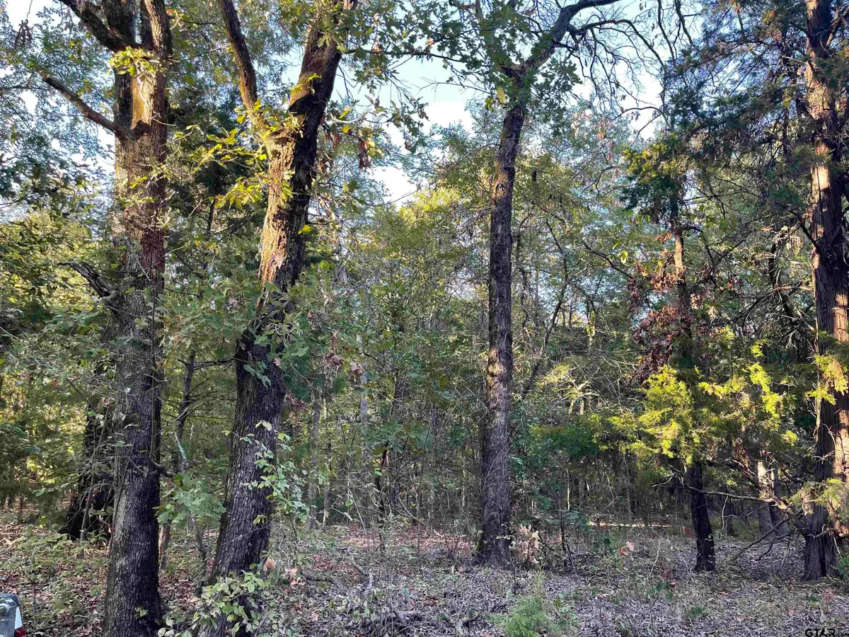 0 CR 4710, Larue, TX 75770 - #1