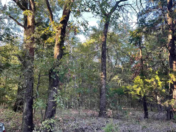 0 CR 4710, LaRue, TX 75770