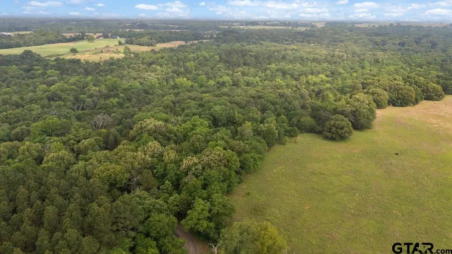 0 CR 4710, Larue, TX 75770 - #3