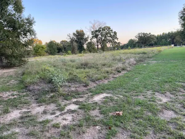 0 CR 4712, LaRue, TX 75770