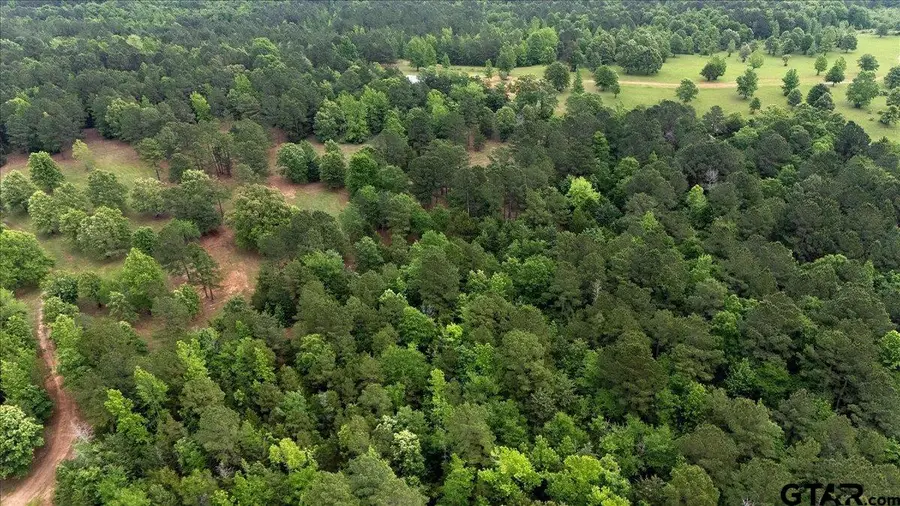 21022 E Hwy 271, Gladewater, TX 75647 - #3