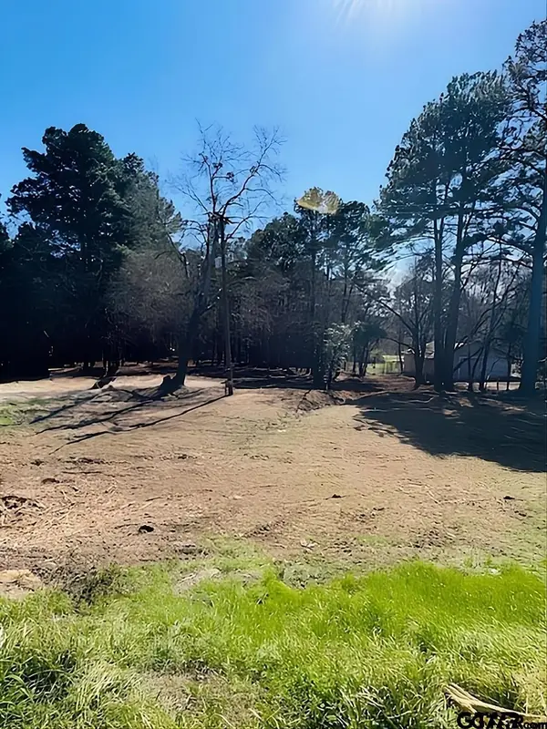 1904 W Duval St, Troup, TX 75789