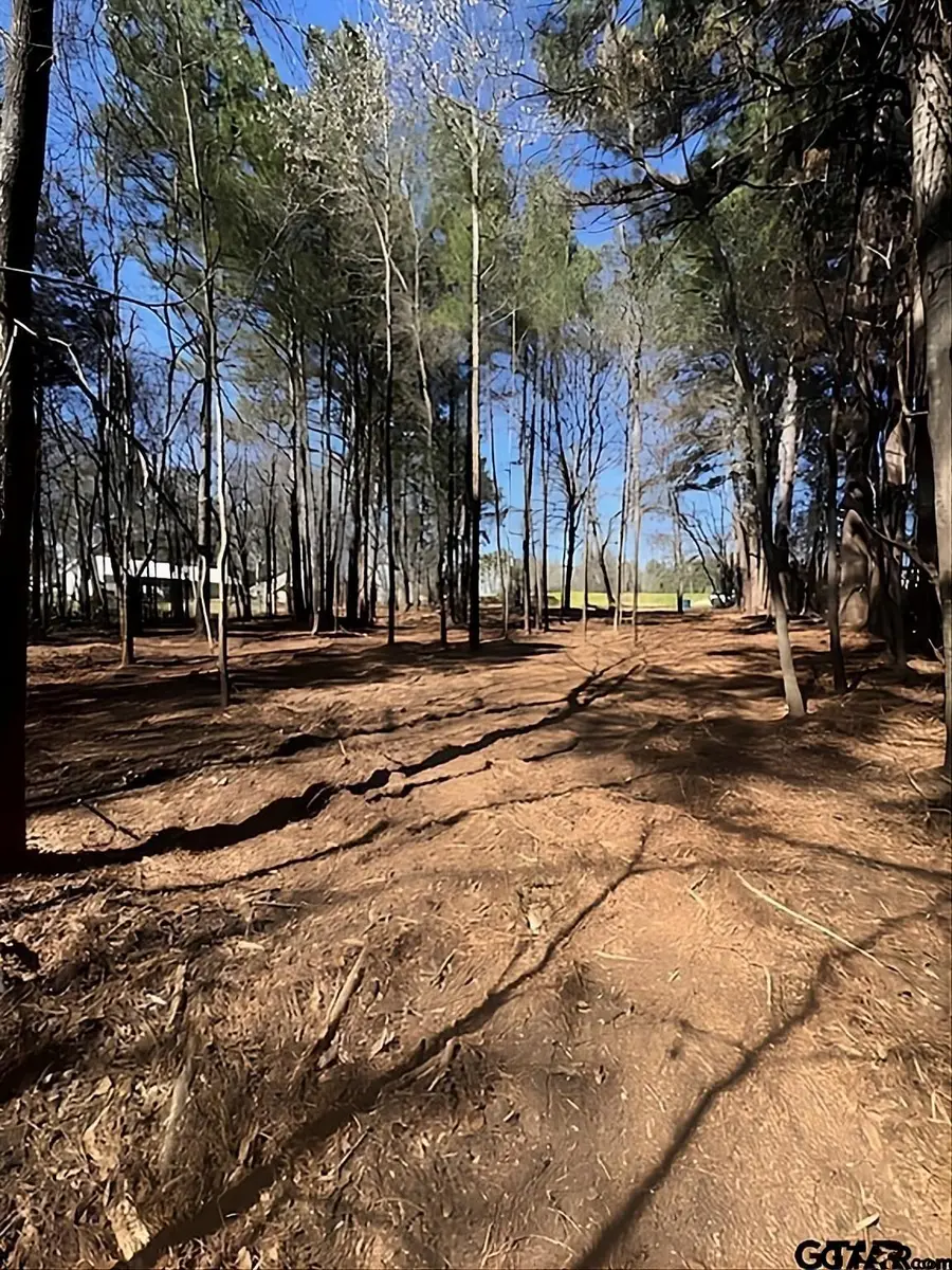 1904 W Duval St, Troup, TX 75789 - #3