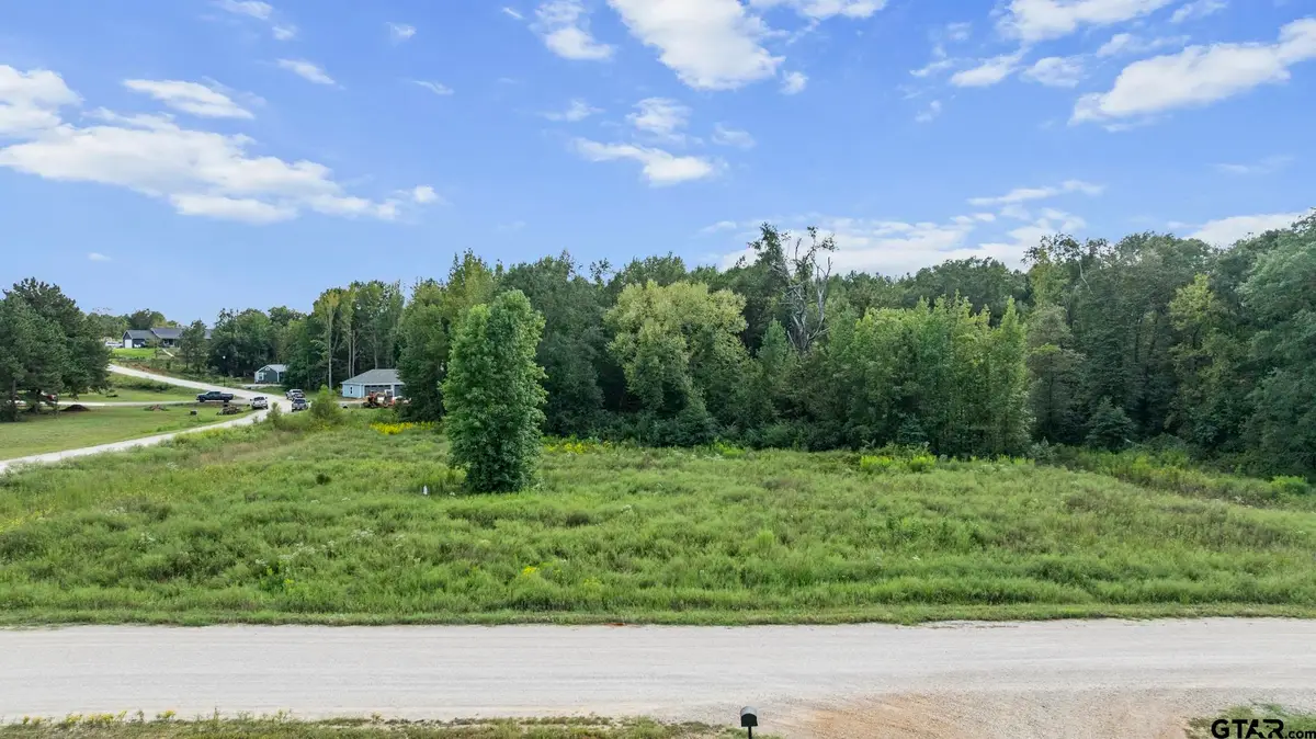 16404 Lepanto Lane, Winona, TX 75792 - #1