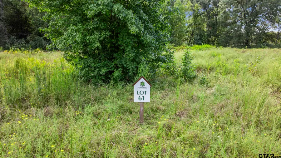 16404 Lepanto Lane, Winona, TX 75792 - #2
