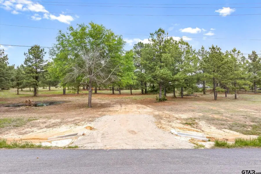 00 Hwy 69, Alba, TX 75410 - #2