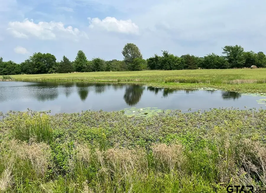 LOT 10 & LOT 11 PR 5291, Yantis, TX 75497 - #2