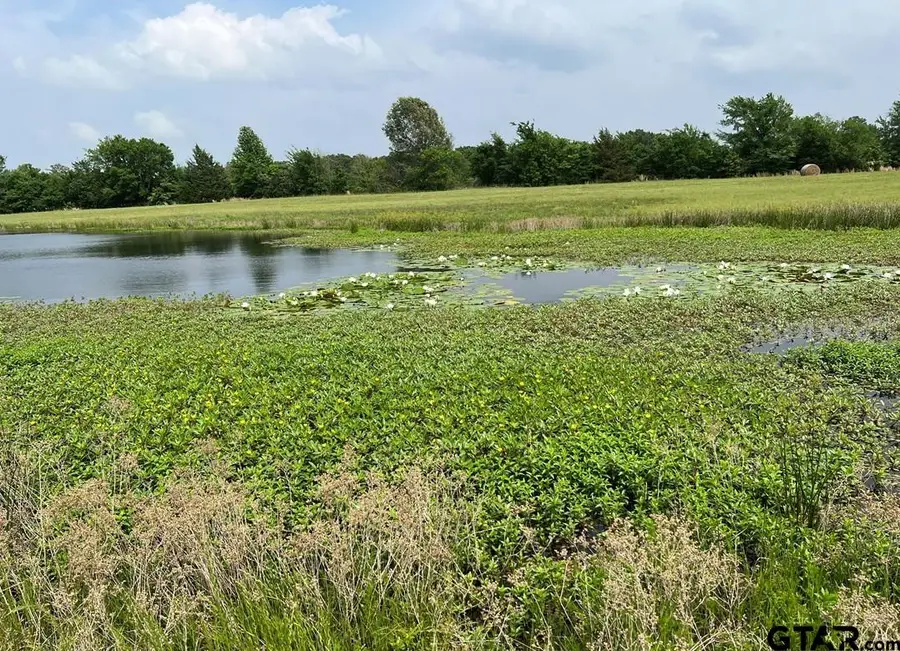 LOT 10 & LOT 11 PR 5291, Yantis, TX 75497 - #3
