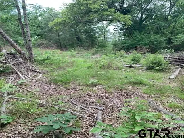000 CR 1113, Tyler, TX 75703 - #3
