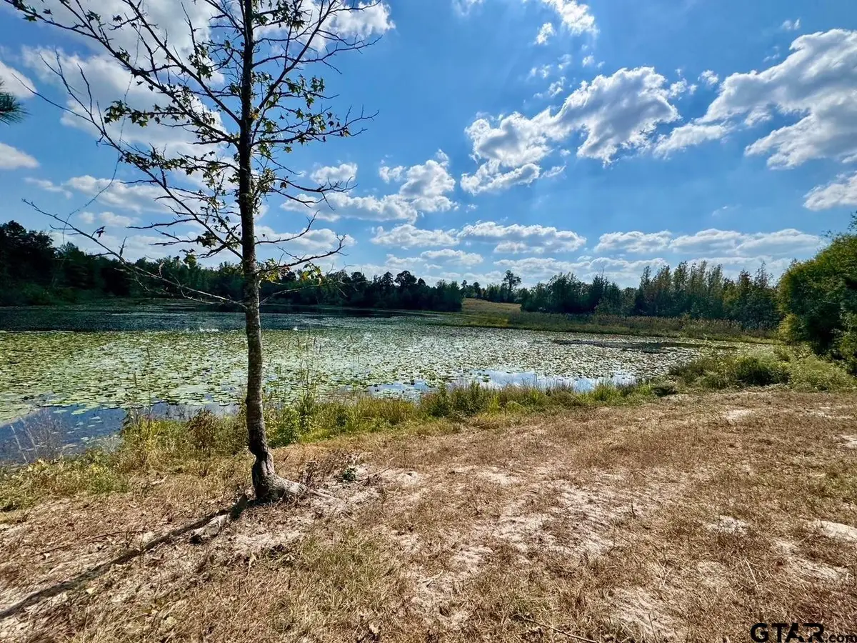 LOT 17 CR 3545, Hawkins, TX 75765 - #1