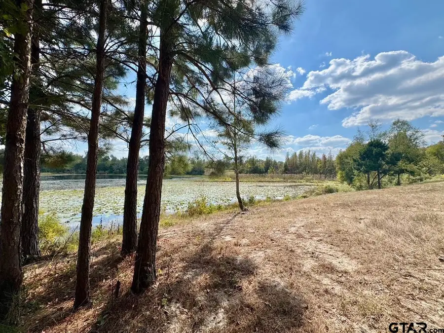 LOT 17 CR 3545, Hawkins, TX 75765 - #2