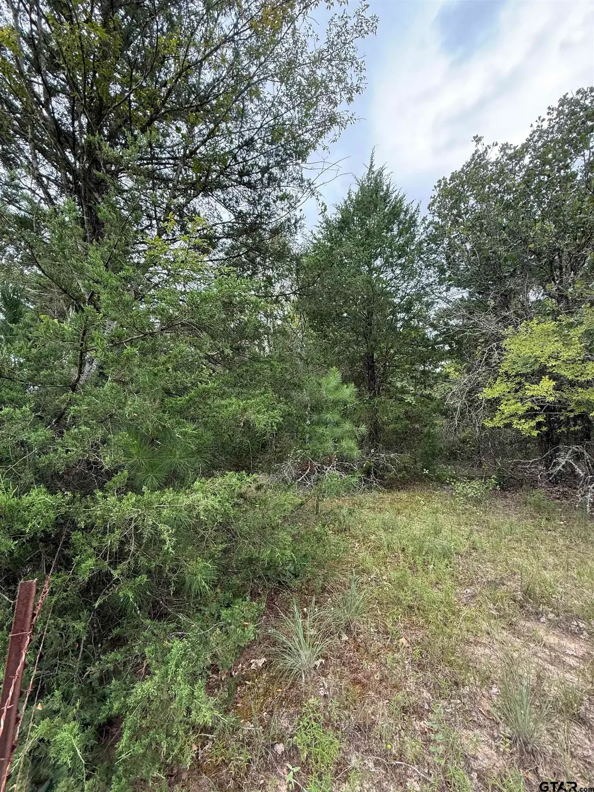 TBD County Road 4620, Troup, TX 75789 - #1