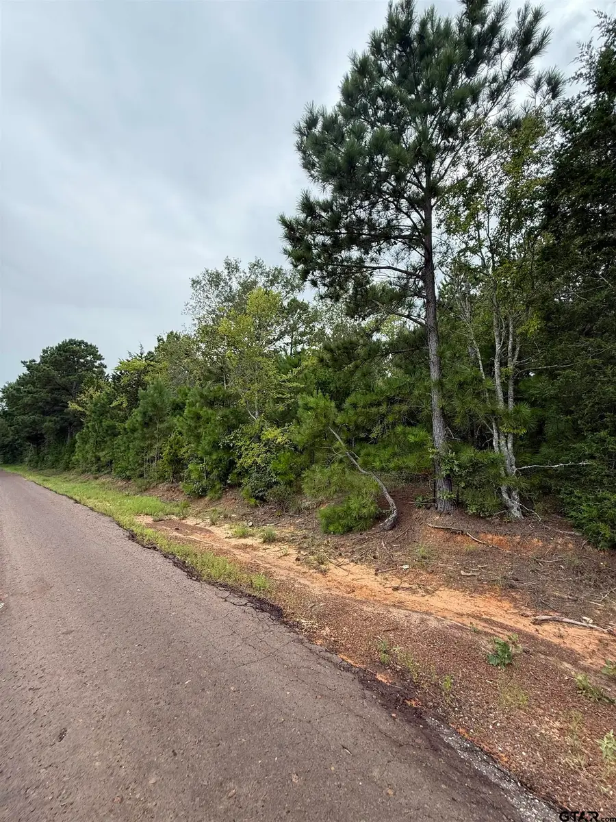 TBD County Road 4620, Troup, TX 75789 - #3