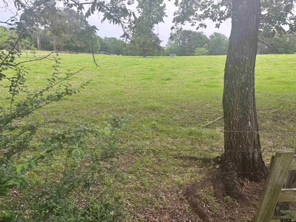 13033 CR 287, Tyler, TX 75707