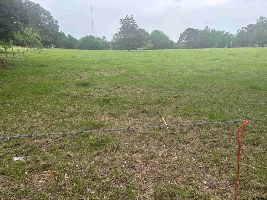 13033 CR 287, Tyler, TX 75707 - #2