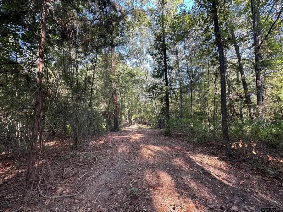 10 Acres FM 852, Gilmer, TX 75644 - #3