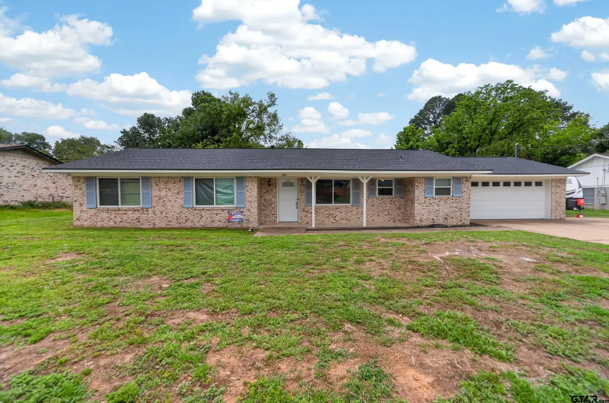 250 MOLLY LN, Mineola, TX 75773 - #1