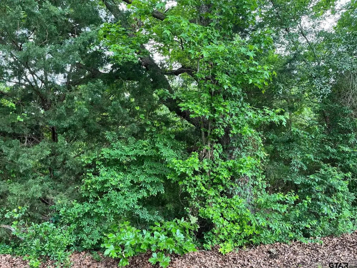 TBD FM 779 OFF HWY 37, Mineola, TX 75773 - #1