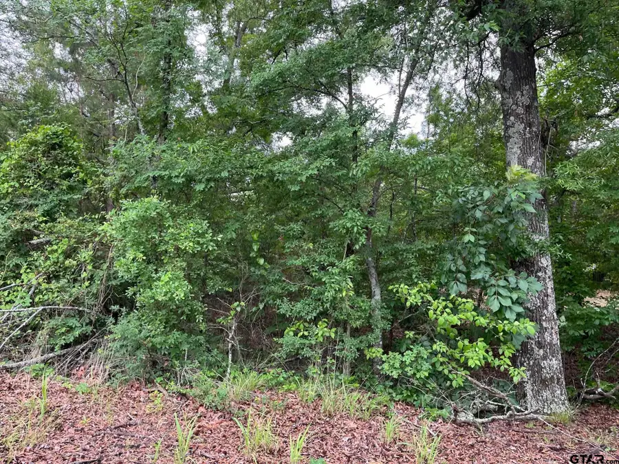 TBD FM 779 OFF HWY 37, Mineola, TX 75773 - #2