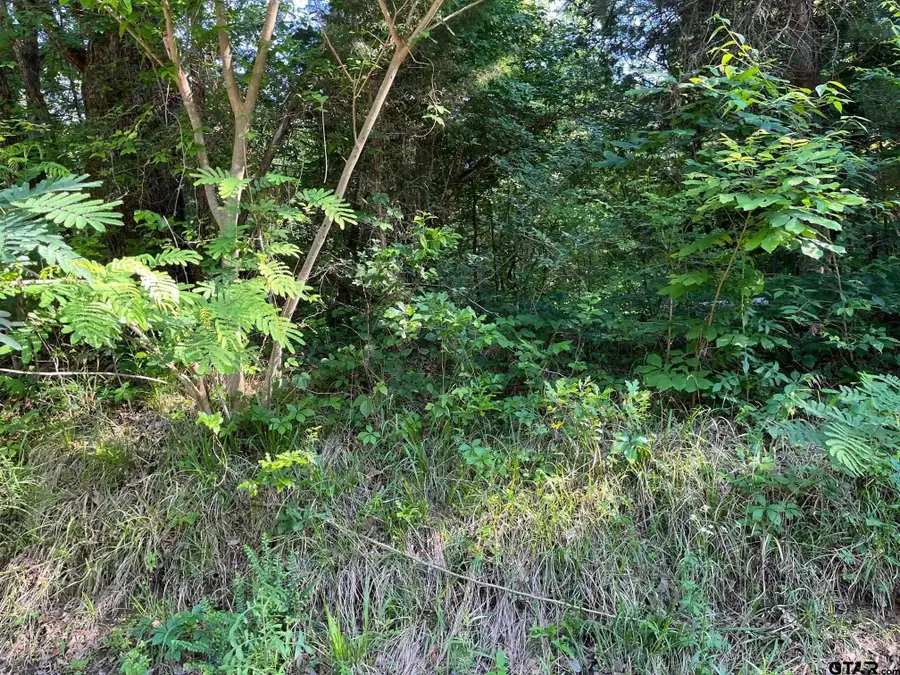 TBD FM 779 OFF HWY 37, Mineola, TX 75773 - #3
