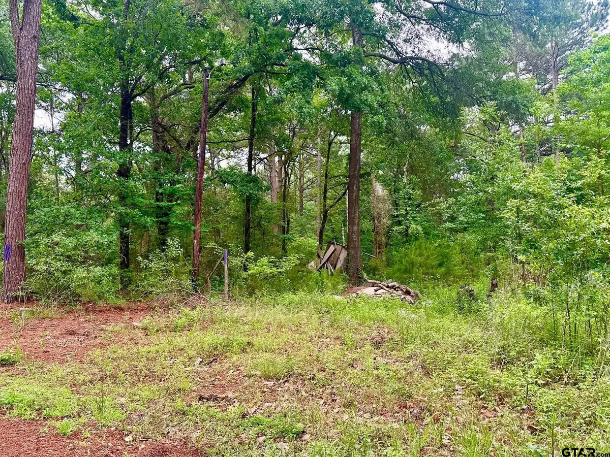 19795 Creekside Dr., Flint, TX 75762 - #1