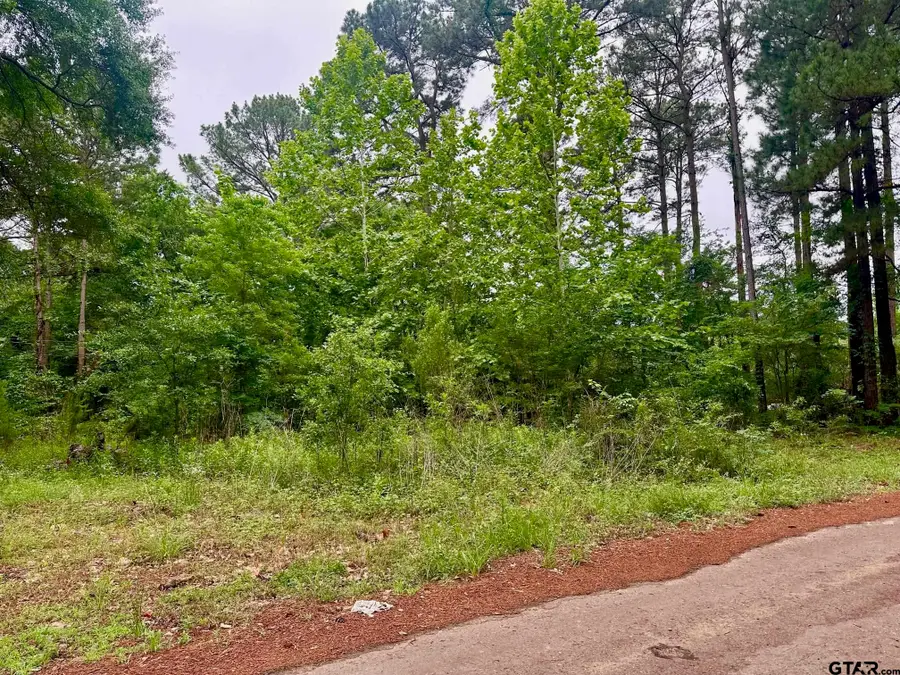 19795 Creekside Dr., Flint, TX 75762 - #2