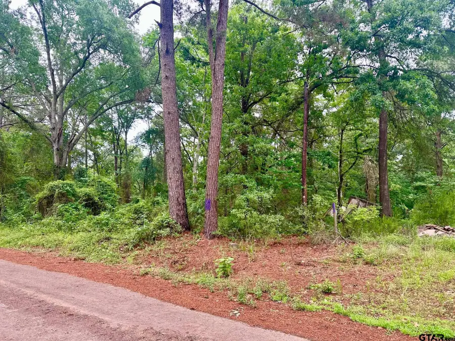19795 Creekside Dr., Flint, TX 75762 - #3
