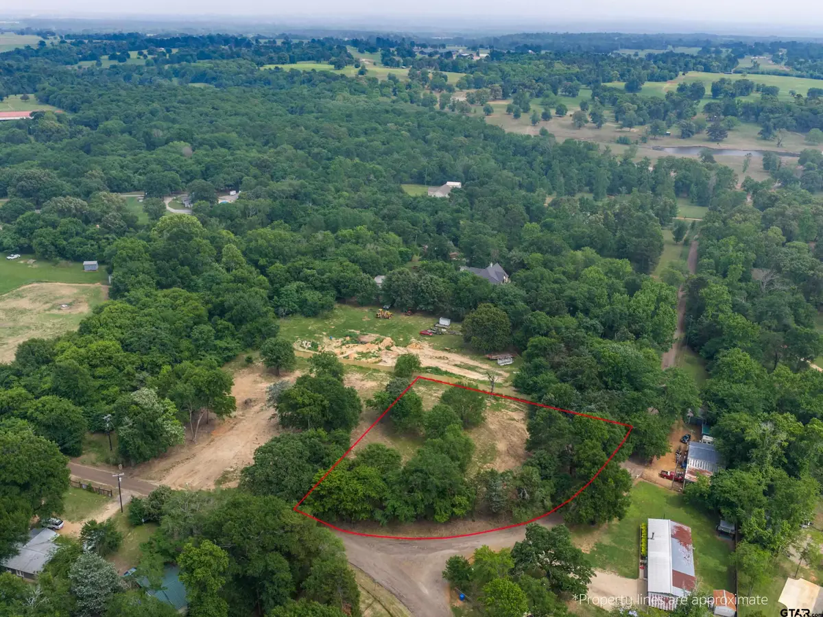 TBD Cr 3601, Bullard, TX 75757 - #1