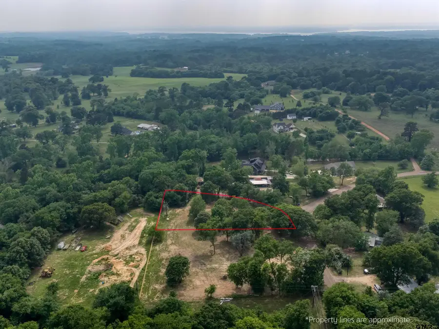 TBD Cr 3601, Bullard, TX 75757 - #3