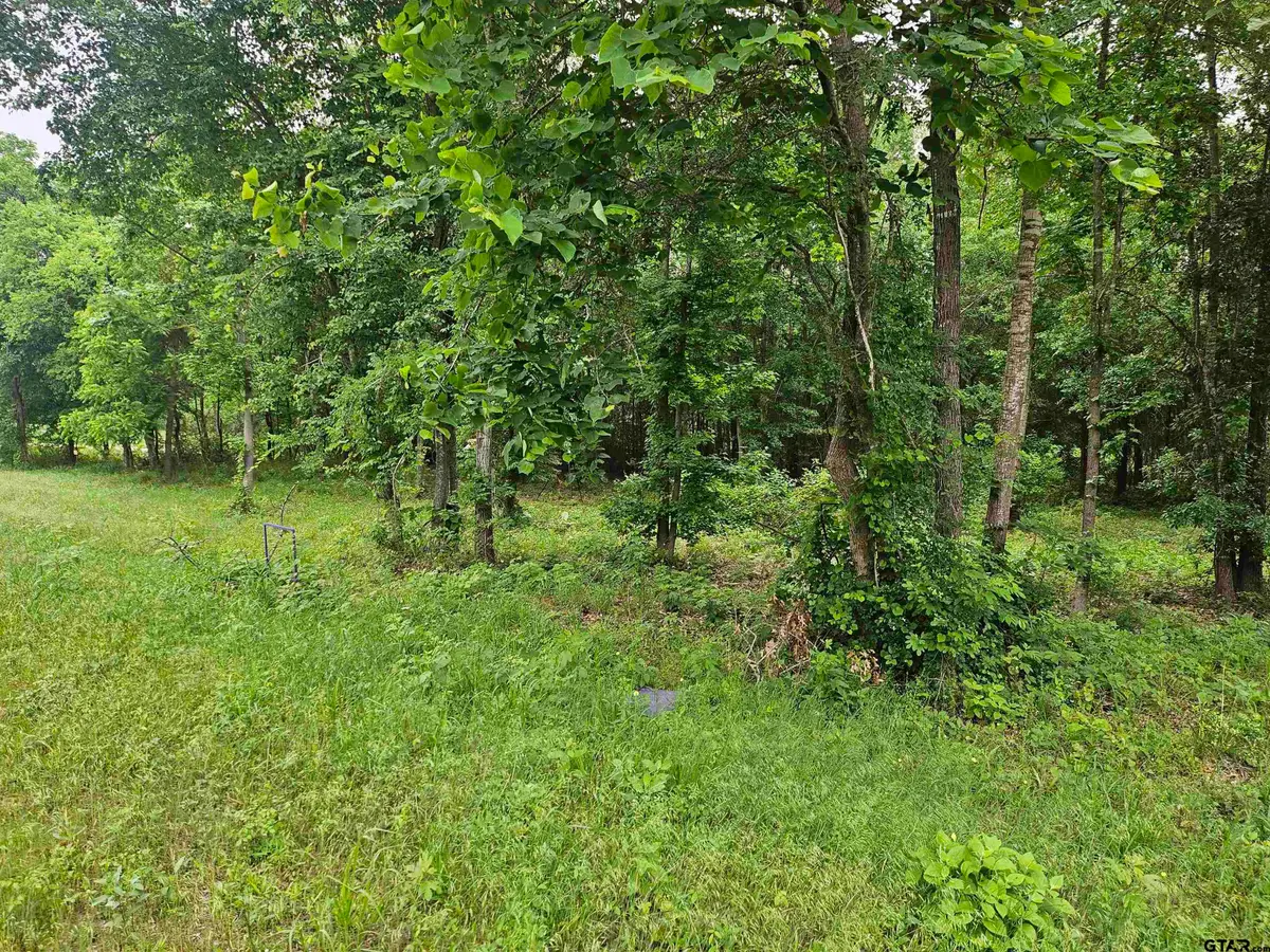 22409 FM 838, Overton, TX 75684 - #1