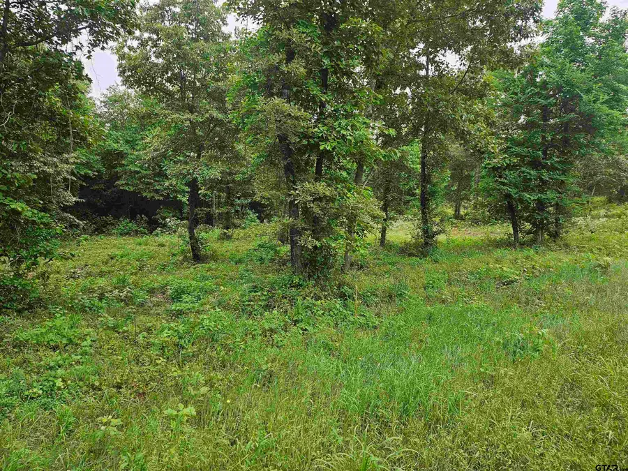 22409 FM 838, Overton, TX 75684 - #2