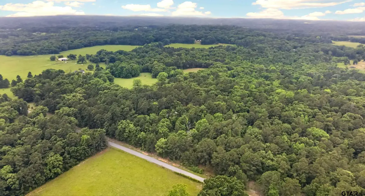 TBD CR 3603, Brownsboro, TX 75756 - #1